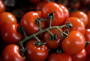 В Україні подорожчали томати: яка причина