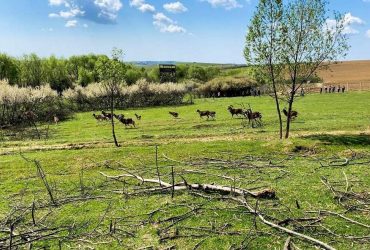 Відпочинок під час війни: що пропонують туристам на Закарпатті