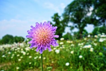 В Україну йде спека: синоптик розповіла, де буде по-літньому гаряче
