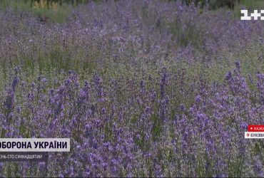 Инстаграмм-локация: для посетителей открыли лавандовое поле