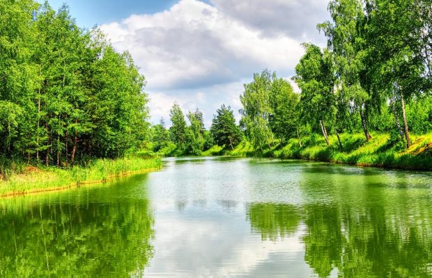 24 червня: народне свято, прикмети погоди, традиції і заборони