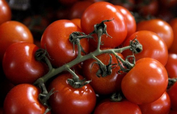 Як можна зберегти свіжі помідори на зиму: варіанти заморозки
