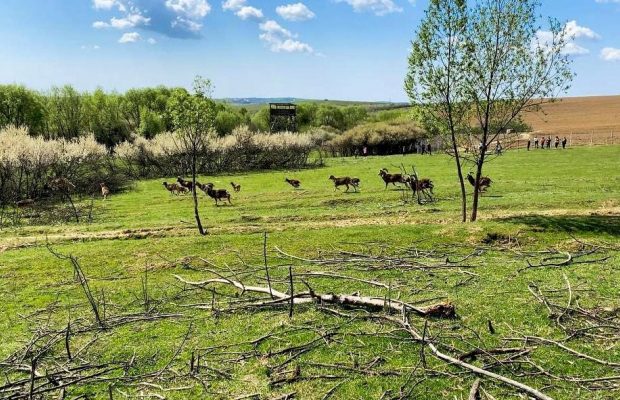 Отдых во время войны: что предлагают туристам на Закарпатье