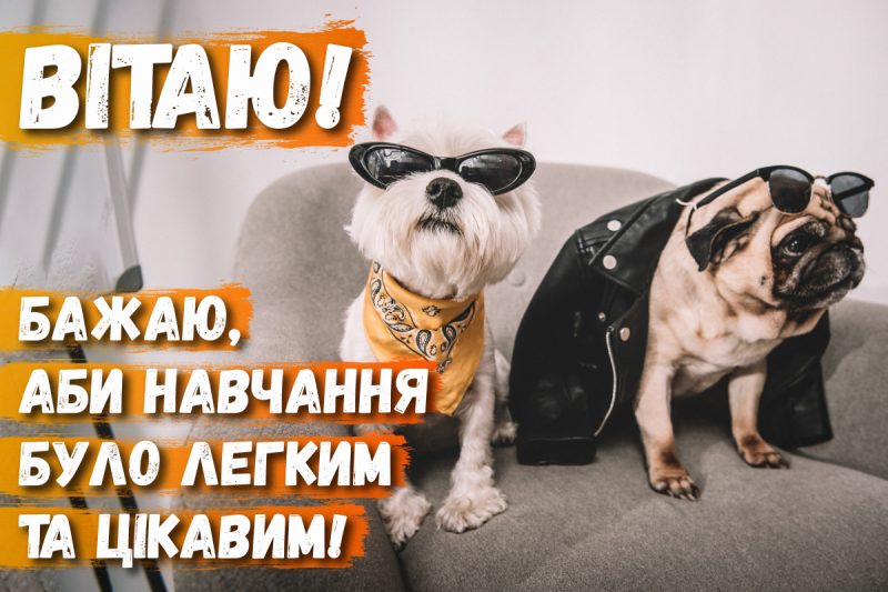 Привітання з вступом до вузу - в картинках, віршах і прозі — УНІАН