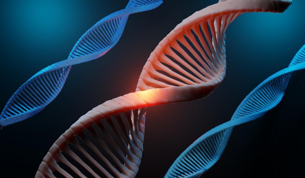 Геномная информация - это сведения о генетических признаках человека / фото ua.depositphotos.com