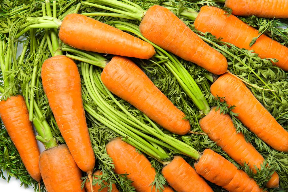 Почему морковь растет червивая / фото ua.depositphotos.com