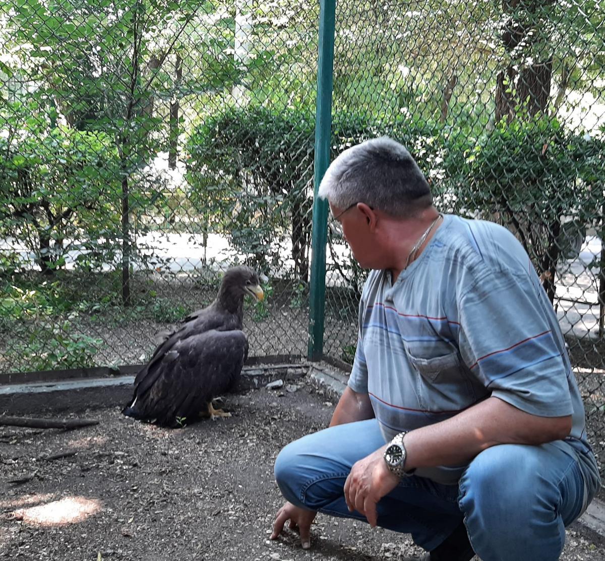 Птица сейчас находится в зоопарке / фото facebook.com/OdesskijZoopark Птица сейчас находится в зоопарке / фото facebook.com/OdesskijZoopark