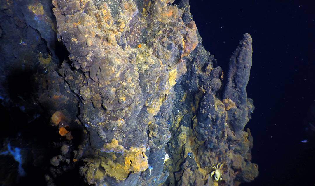 На дне Тихого океана нашли гигантское поле горячих источников / фото Woods Hole Oceanographic Institution На дне Тихого океана нашли гигантское поле горячих источников / фото Woods Hole Oceanographic Institution