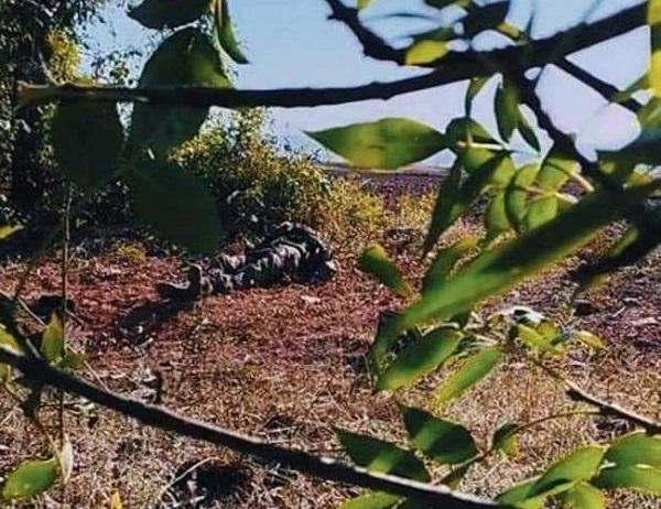 Телеграм-канал главы Луганской ОВА Сергея Гайдая Телеграм-канал главы Луганской ОВА Сергея Гайдая