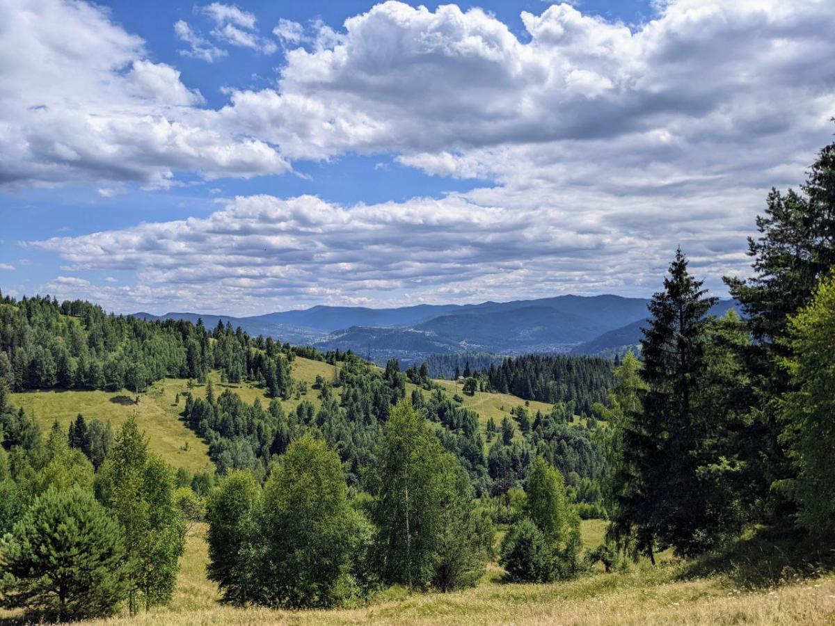 Вид с горы Маковица в Яремче / УНИАН Вид с горы Маковица в Яремче / УНИАН