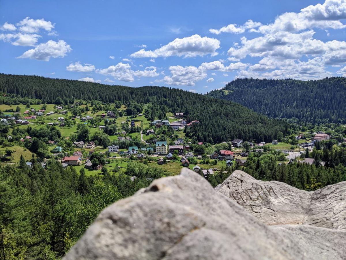 Вид с горы Маковица в Яремче / УНИАН Вид с горы Маковица в Яремче / УНИАН