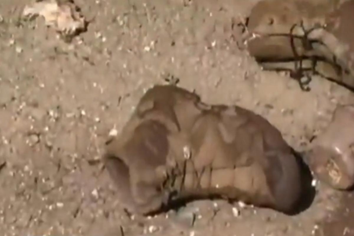 У розвідці назвали можливі причини обстрілу окупантами колонії в Оленівці / скріншот У розвідці назвали можливі причини обстрілу окупантами колонії в Оленівці / скріншот