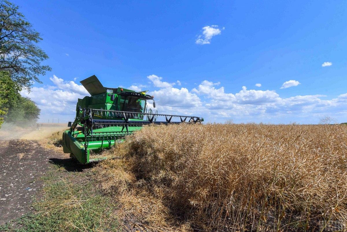 В Україні фермери вже декілька тижнів збирають врожай озимих культур / фото УНІАН