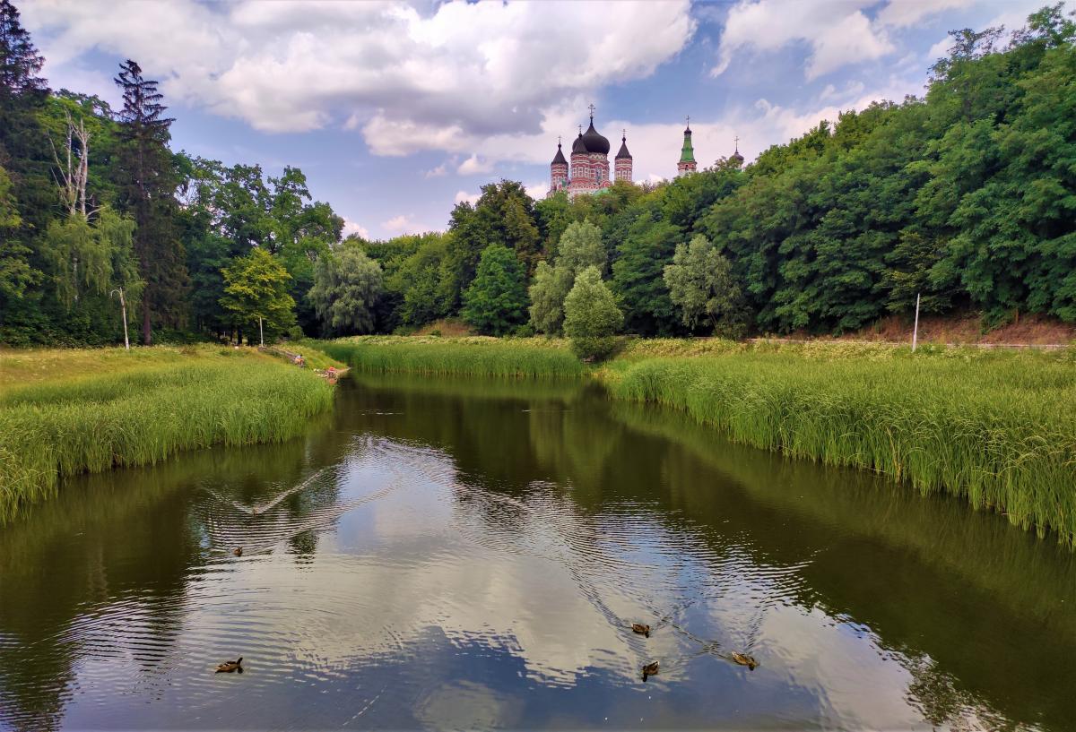 Парк "Феофанія" влітку весь покритий зеленню / фото Марина Григоренко Парк "Феофанія" влітку весь покритий зеленню / фото Марина Григоренко