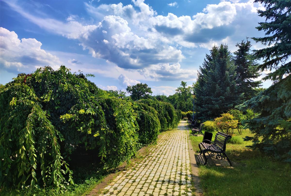 Парк "Феофания" летом / фото Марина Григоренко Парк "Феофания" летом / фото Марина Григоренко