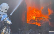 У Миколаєві через аномальну спеку виникла масштабна пожежа на одному із підприємств - ДСНС