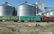 В Україні арештували залізничні вагони компаній РФ вартістю 30 мільйонів (фото)