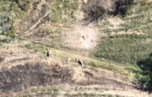 Украинские морпехи показали "демилитаризацию" вражеской пехоты на Херсонщине (видео)