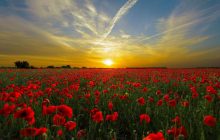 Субота здивує українців температурними контрастами: що буде з погодою (карта)