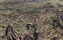 Окупанти завдали авіаракетний удар по центру Краматорська, є загиблі (фото)