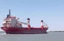 Перші вісім іноземних суден прибули до портів України після звільнення Зміїного