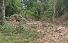 На Сумщині окупанти "денацифікували" вуличний туалет та влучили у церкву (фото)