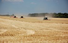 На Днепропетровщине российские оккупанты из танка обстреляли украинских комбайнеров, которые собирали урожай