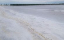 На Одещині у заповіднику з'явилися "поклади" солі: люди почали її збирати (фото)