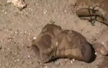 Цинічна кривава провокація окупантів в Оленівці: офіцер розвідки назвав можливі причини