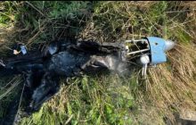 Військові показали відео, як український ЗРК "Бук" знищує ворожий безпілотник
