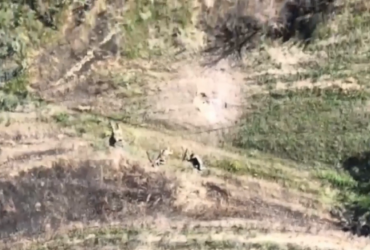 Украинские морпехи показали демилитаризацию вражеской пехоты на Херсонщине (видео)