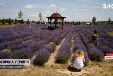 Спастись от жары: в Киеве в разгаре сезон лавандового цвета