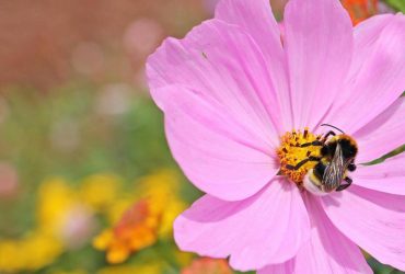 1 августа: народный праздник, главные запреты дня и приметы погоды