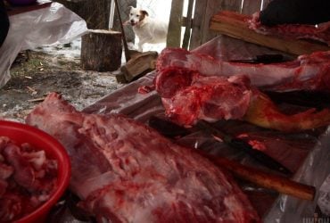 Стоимость свинины в Украине подскочила: названа новая цена