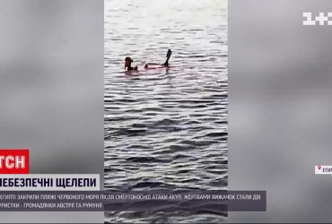 В Египте акулы убили двух туристок – пляжи Красного моря закрыты