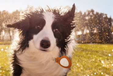 Гаджет дня: cмарт-трекер от Huawei – как AirTag, но втрое дешевле (фото)