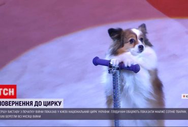 Цирк в Киеве впервые во время войны возобновил свою работу