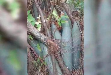 Пограничники обнаружили заминированный участок дороги, ведущей в Харьков (видео)