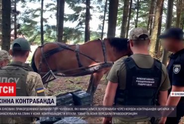 Контрабандисти з Буковини вивозять нелегальні товари на конях
