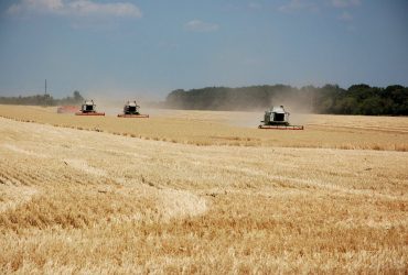 На Днепропетровщине российские оккупанты из танка обстреляли украинских комбайнеров, которые собирали урожай