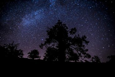 Когда будет звездопад в 2022 году: даты, где можно увидеть