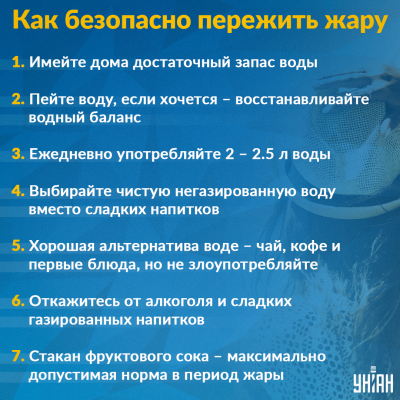 Как сохранить здравый рассудок и трудоспособность в аномальную жару? Отвечает врач