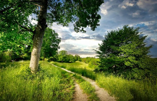 Календар свят у серпні 2022: перелік вихідних днів