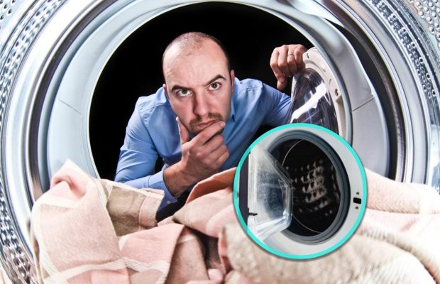 Как избавиться от плесени на манжете стиральной машины: самые простые и безопасные способы