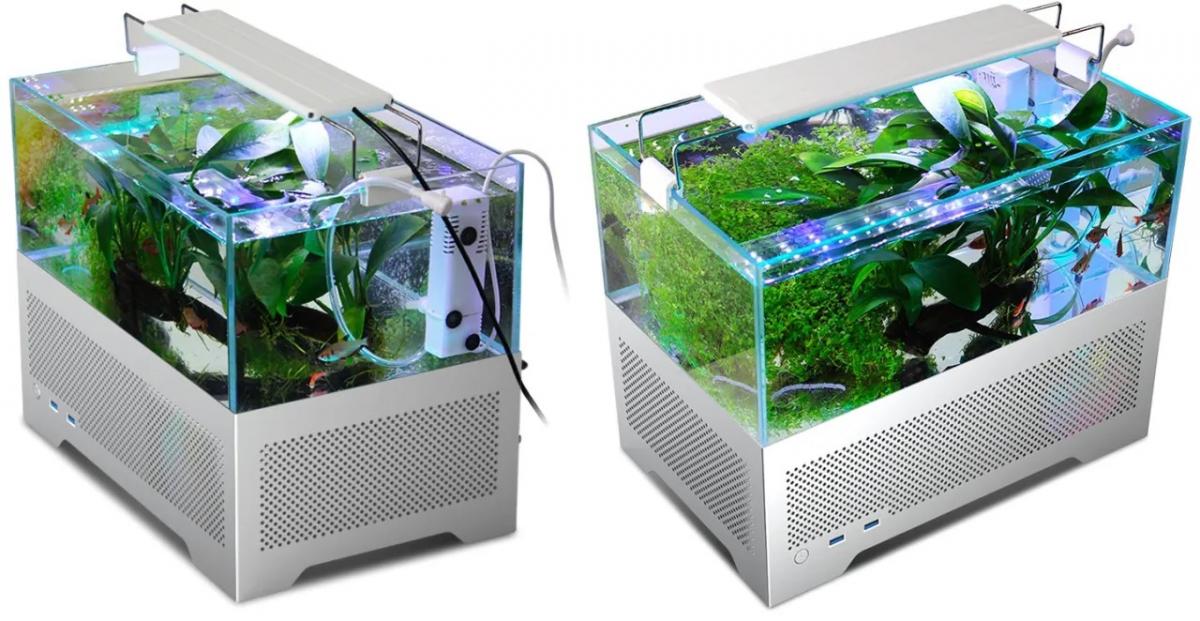 Источник: MetalFish Источник: MetalFish