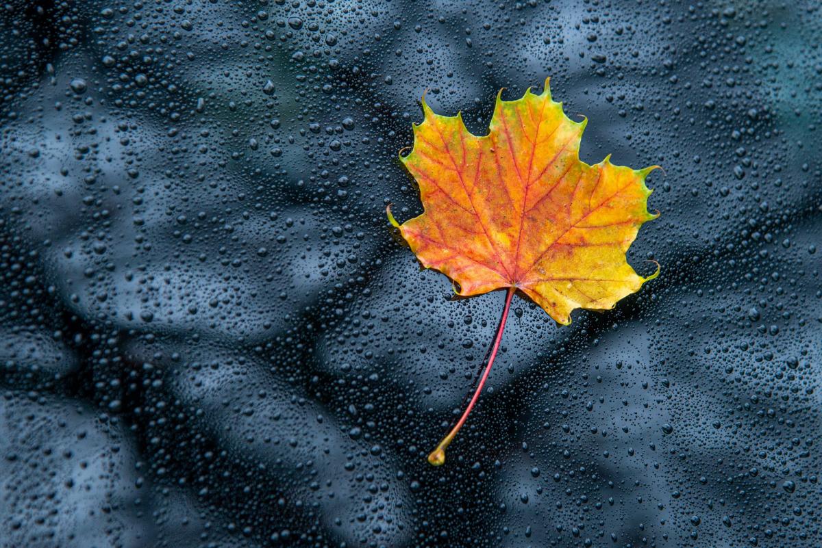 Прогноз погоди на осінь / фото wal_172619, Pixabay Прогноз погоди на осінь / фото wal_172619, Pixabay