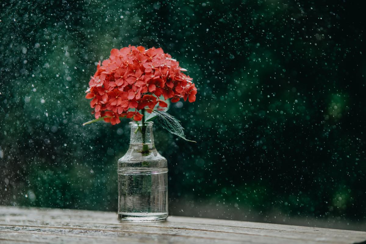 На вихідних в Україні місцями дощитиме / фото Melk Hagelslag, Pixabay На вихідних в Україні місцями дощитиме / фото Melk Hagelslag, Pixabay