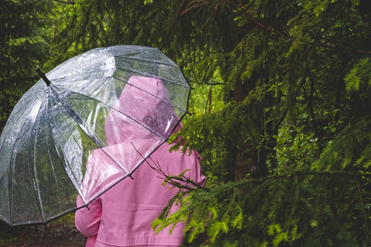 В Украине ожидаются дожди и похолодание / фото Nicky, Pixabay