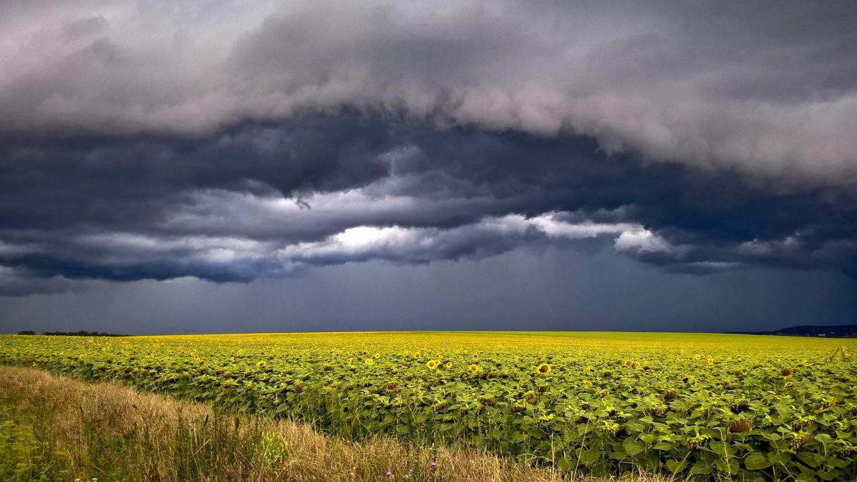 Цього тижня в Укаїні очікуються небезпечні погодні явища / фото Gábor B, Pixabay