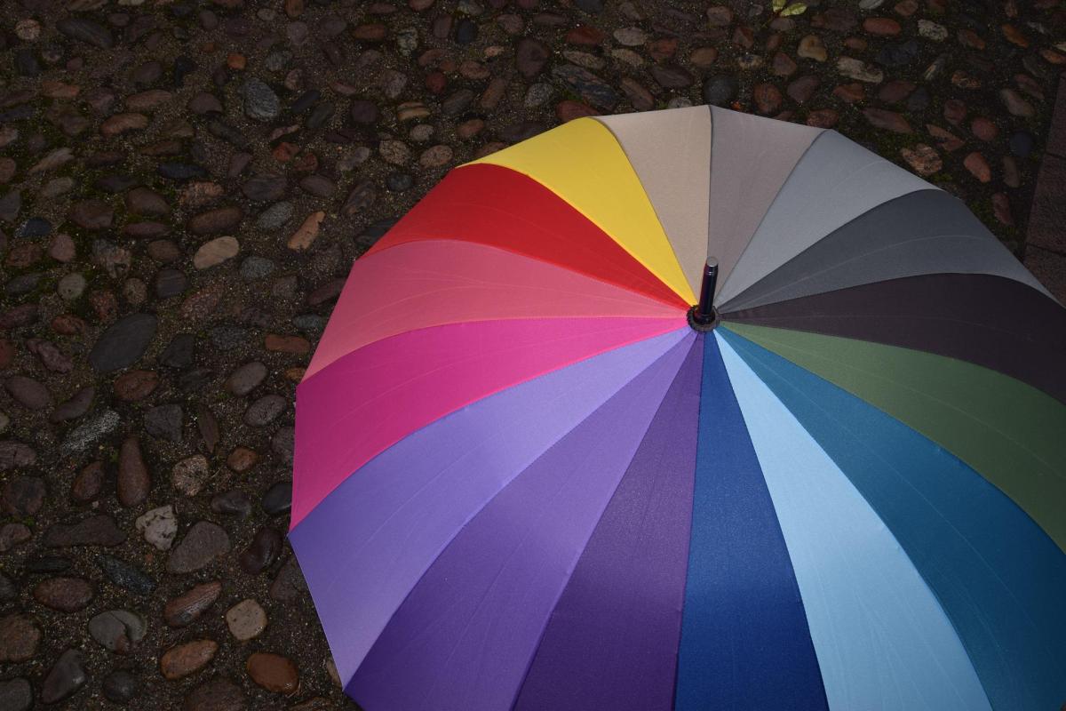 Фотография Pixabay Фотография Pixabay